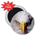 American Eagle 2.25  Magnet (10 pack)