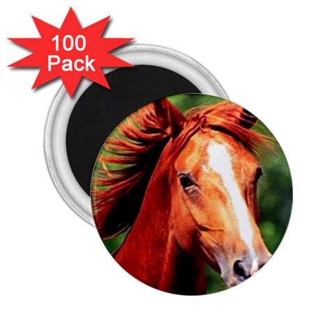 horses 2.25  Magnet (100 pack)  from UrbanLoad.com Front