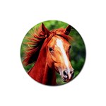 horses Rubber Round Coaster (4 pack)
