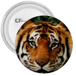 Tiger 3  Button