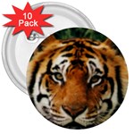 Tiger 3  Button (10 pack)