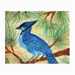 Blue Jay Glasses Cloth (Small)