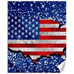 Usa-map-and-flag-on-cement-wall-texture-background-design-1591646654pet Canvas 16  x 20 
