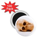 White Skull 1.75  Magnet (100 pack) 