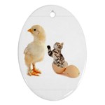 Kitten in an egg with chick Ornament (Oval)