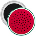 watermelon 3  Magnet