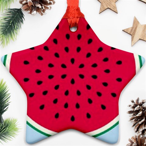 watermelon Ornament (Star) from UrbanLoad.com Front