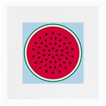 watermelon Glasses Cloth (Medium)