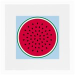 watermelon Glasses Cloth (Medium)