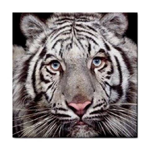 white tiger Tile Coaster from UrbanLoad.com Front