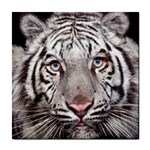 white tiger Tile Coaster