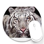 white tiger Round Mousepad