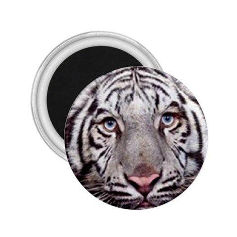 white tiger 2.25  Magnet from UrbanLoad.com Front