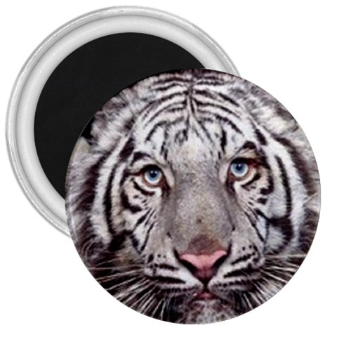 white tiger 3  Magnet from UrbanLoad.com Front