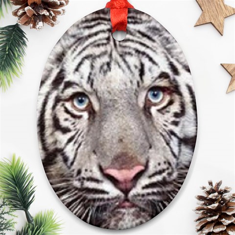 white tiger Ornament (Oval) from UrbanLoad.com Front