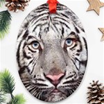 white tiger Ornament (Oval)