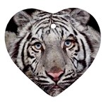 white tiger Ornament (Heart)