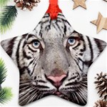 white tiger Ornament (Star)