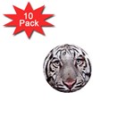 white tiger 1  Mini Magnet (10 pack) 