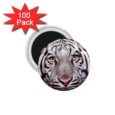white tiger 1.75  Magnet (100 pack)  from UrbanLoad.com Front