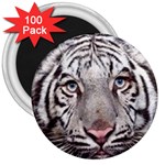 white tiger 3  Magnet (100 pack)