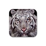 white tiger Rubber Square Coaster (4 pack)