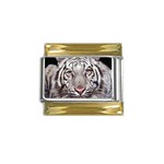 white tiger Gold Trim Italian Charm (9mm)