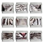 white tiger 9mm Italian Charm (9 pack)