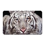 white tiger Magnet (Rectangular)