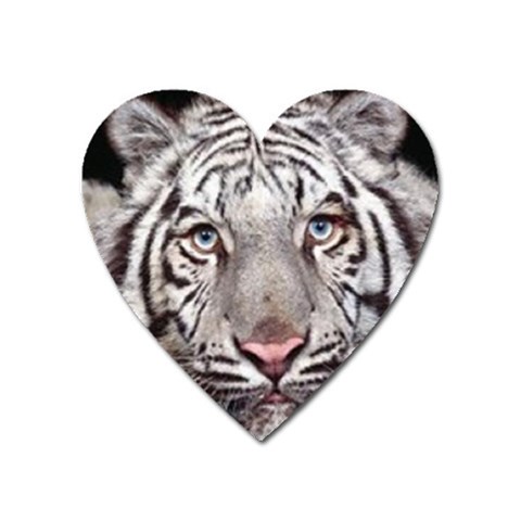 white tiger Magnet (Heart) from UrbanLoad.com Front