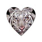 white tiger Magnet (Heart)