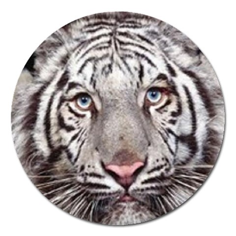 white tiger Magnet 5  (Round) from UrbanLoad.com Front