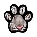 white tiger Magnet (Paw Print)