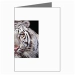 white tiger Greeting Card