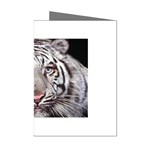 white tiger Mini Greeting Cards (Pkg of 8)