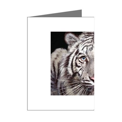 white tiger Mini Greeting Cards (Pkg of 8) from UrbanLoad.com Right