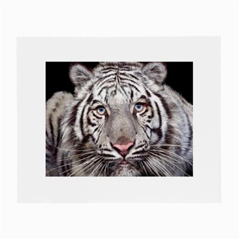 white tiger Glasses Cloth (Small) from UrbanLoad.com Front