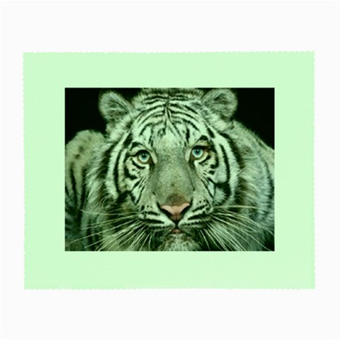 white tiger Glasses Cloth (Small) from UrbanLoad.com Front