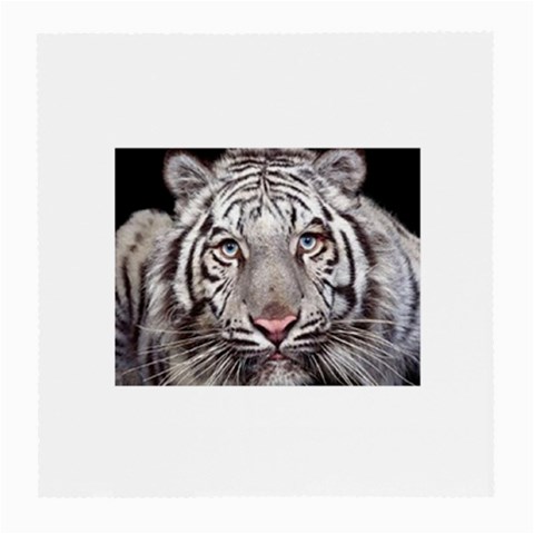 white tiger Glasses Cloth (Medium) from UrbanLoad.com Front