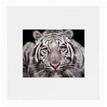 white tiger Glasses Cloth (Medium)