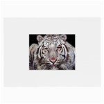 white tiger Glasses Cloth (Large)