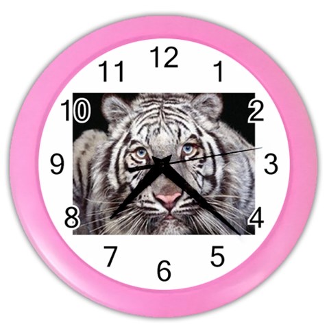 white tiger Color Wall Clock from UrbanLoad.com Front