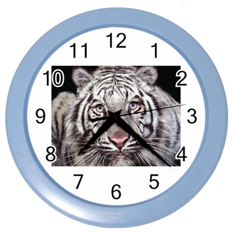 white tiger Color Wall Clock from UrbanLoad.com Front