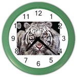 white tiger Color Wall Clock
