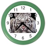 white tiger Color Wall Clock