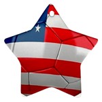 usa soccer Ornament (Star)