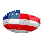 usa soccer Magnet (Oval)