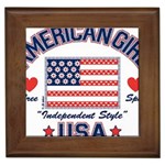 usa 2 Framed Tile