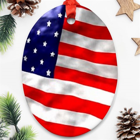 usa Ornament (Oval) from UrbanLoad.com Front