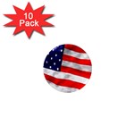 usa 1  Mini Magnet (10 pack) 